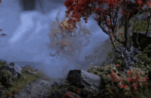 jordi elias diorama moss rocks trees