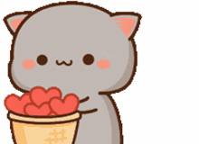 peach goma peach and goma peach cat goma send love peach goma peach and goma peach cat goma send love