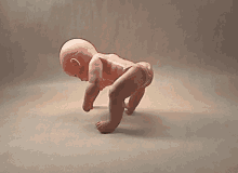 GIF