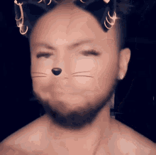 Mikenspired Catman GIF - Mikenspired Catman No GIFs
