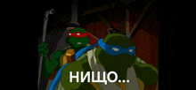 two teenage mutant ninja turtles are standing next to each other with a caption that says " nihilo ... "