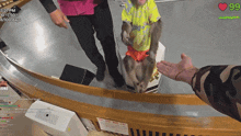 a monkey wearing a yellow shirt that says ' happy ' on it