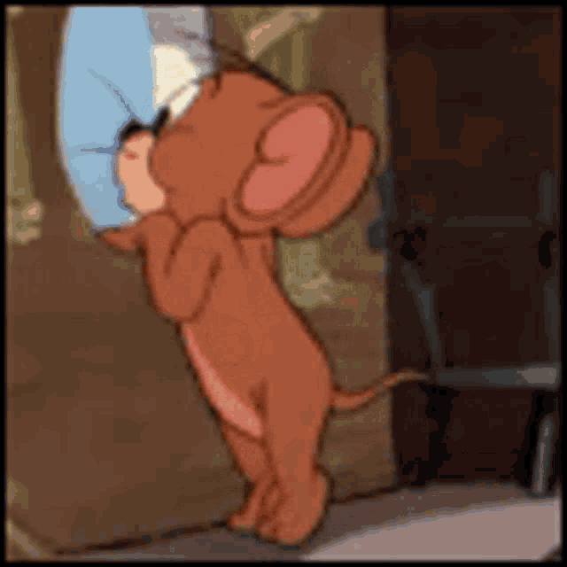 옥재우 Tom And Jerry GIF - 옥재우 Tom And Jerry Huh GIFs