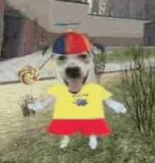 a dog wearing a hat and a yellow shirt is holding a lollipop .