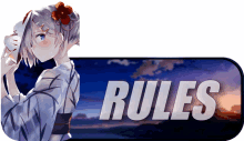 rules_banner_a3r