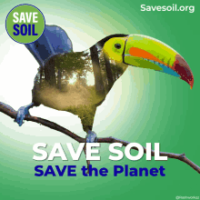 save soil save soil movement toucan nature images climate crisis