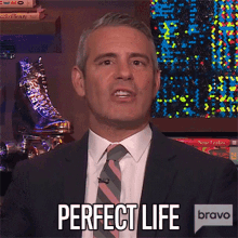 Perfect Life Andy Cohen GIF