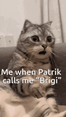 a surprised cat sitting on a couch with the words " me when patrik calls me " on the bottom