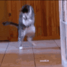 He Cookin Cat GIF