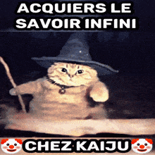 a cat wearing a wizard 's hat and holding a wand says acquiers le savoir infini
