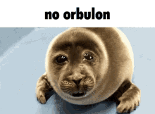 No Orbulon Apex Legends GIF - No Orbulon Apex Legends Sad Seal GIFs