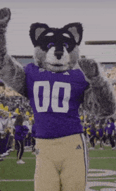 Harry The Husky Washington Huskies GIF - Harry The Husky Washington Huskies College Football GIFs