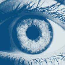 Dry Eye Syndrome Treatment Market GIF - Dry Eye Syndrome Treatment Market Dry Eye GIFs