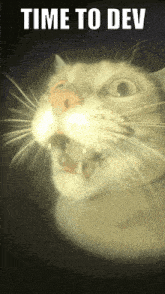 a cat with its mouth open and the words time to dev written above it