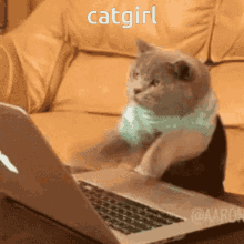 Catgirl GIF - Catgirl GIFs