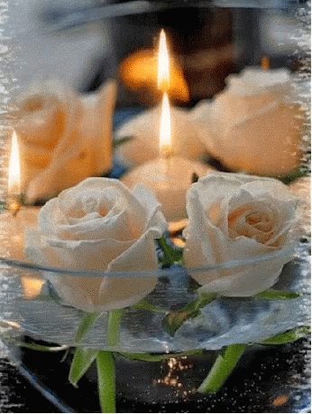 Candle%20Flame%20GIF%20-%20Candle%20Flame%20Roses%20-%20Discover%20&%20Share%20GIFs