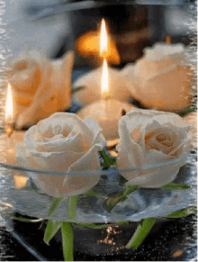 Candle Flame GIF - Candle Flame Roses GIFs