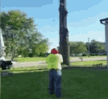 Timber Tree GIF - Timber Tree Fly GIFs