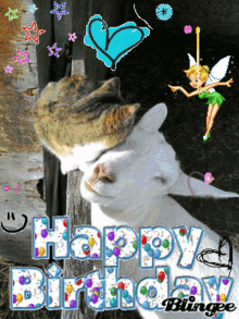 Happy Birthday Love GIF - Happy Birthday Love Cat GIFs