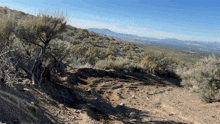a dirt road with mountains in the background and a blue sky