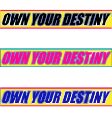 own your destiny destiny