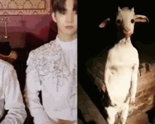 Changmin Goat GIF - Changmin Goat The Boyz GIFs