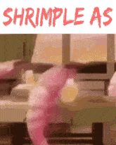 Simple As Shrimp GIF