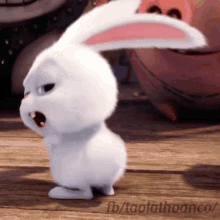 Bunny Snowball GIF - Bunny Snowball The Secret Life Of Pets GIFs