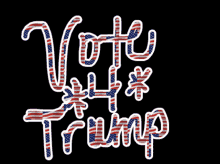 Vote Trump GIF - Vote Trump Donald GIFs