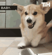 Baby Look GIF - Baby Look Stare GIFs