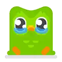 a green cartoon owl is crying with tears running down its eyes .