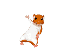 waving hamster