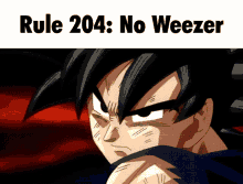 rule rule204 rule_204 no weezer dragon ball rule