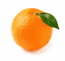 Naranja Rodalies Sin Rodalies GIF - Naranja Rodalies Sin Rodalies GIFs
