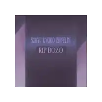 a purple sign that says soryu kyoko zeppelin rip bozo on it