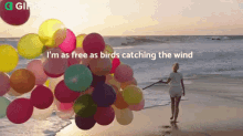 Im As Free As Birds Catching The Wind Gifkaro GIF - Im As Free As Birds Catching The Wind Gifkaro I Have A Freedom GIFs