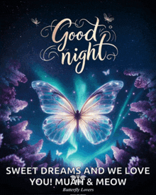 a poster with a butterfly and the words good night
