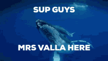 Mrs Valla GIF - Mrs Valla Whale GIFs