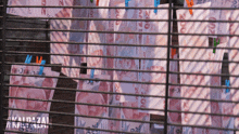 a bunch of money hanging on a clothes line with the word avaldazai in the corner