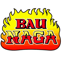 bau naga fire dragon flames burning