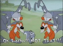 a cartoon of two rabbits and a squirrel with the words oh brother not that written below them