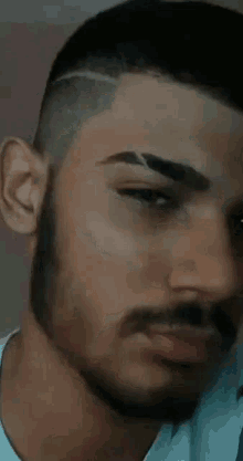 a close up of a man 's face with a beard and shaved head