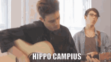Hippo Campus Jake Luppen GIF - Hippo Campus Jake Luppen Zach Sutton GIFs