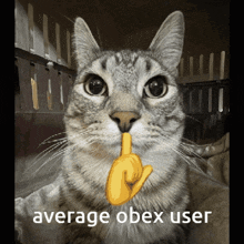 Obex Obex C2 GIF - Obex Obex C2 Obex Api GIFs
