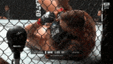 a ufc fight between ferguson and chiesa takes place