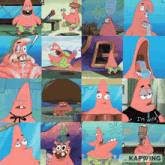 a collage of pictures of patrick star from spongebob squarepants with the caption kapwing