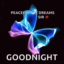 a butterfly with the words `` peaceful pet dreams sir goodnight '' on it