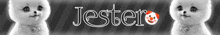 the word jester is on a black and white image