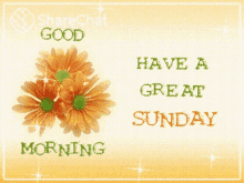 Good Morning Have A Great Sunday GIF - Good Morning Have A Great Sunday शुभप्रभात GIFs
