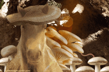 Tomascore Horsey GIF